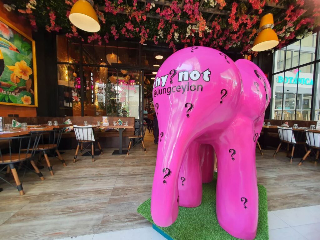 Why not restaurant pictures after development 8