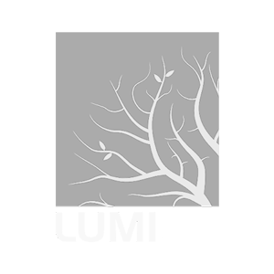 Lumion experts thailand